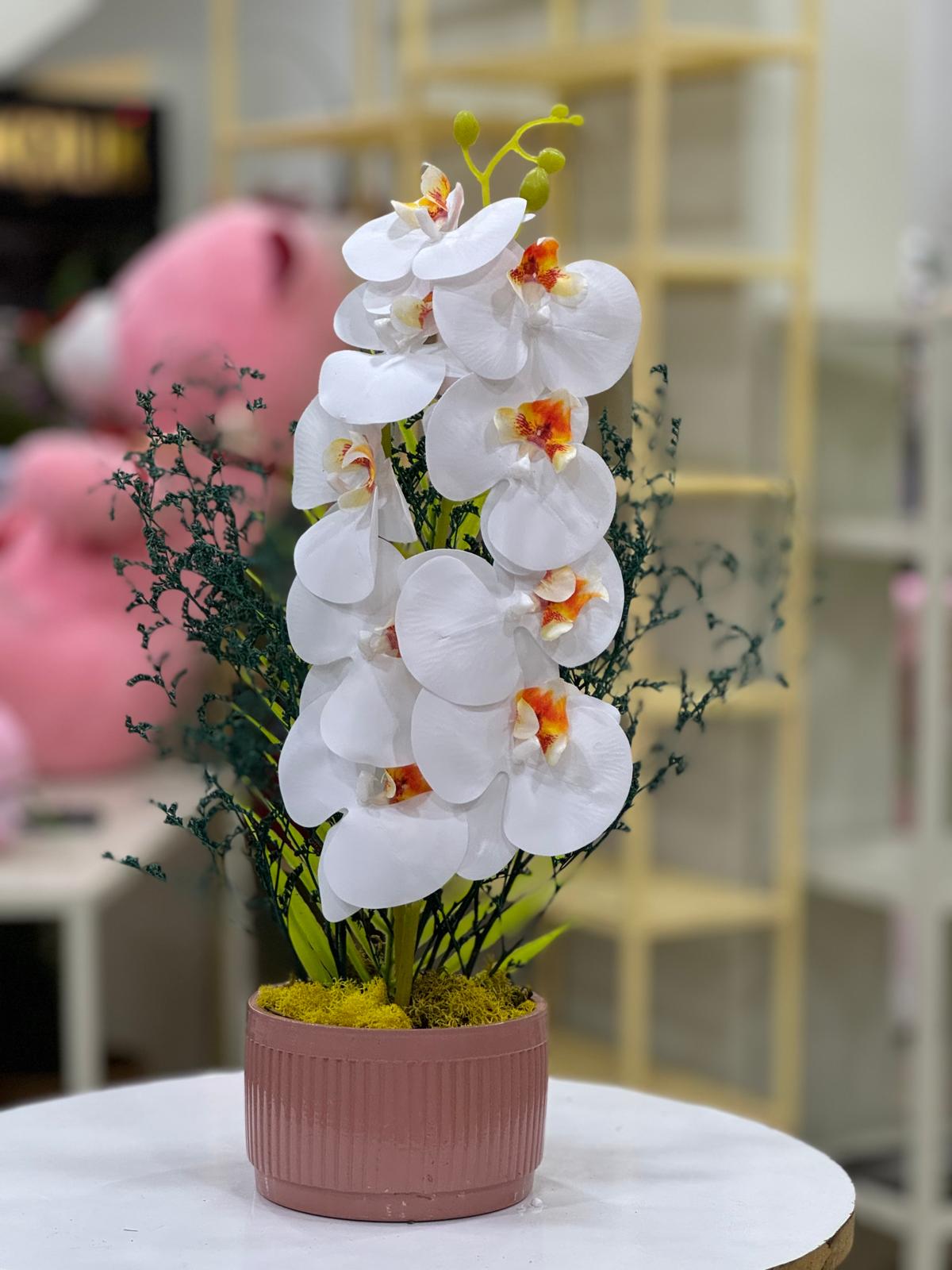 Ivory Bloom