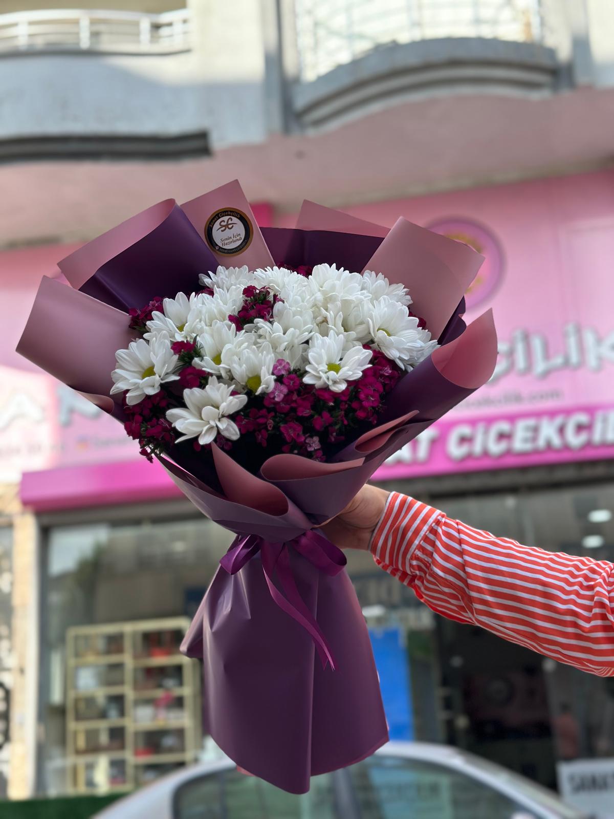 AYIŞIĞI